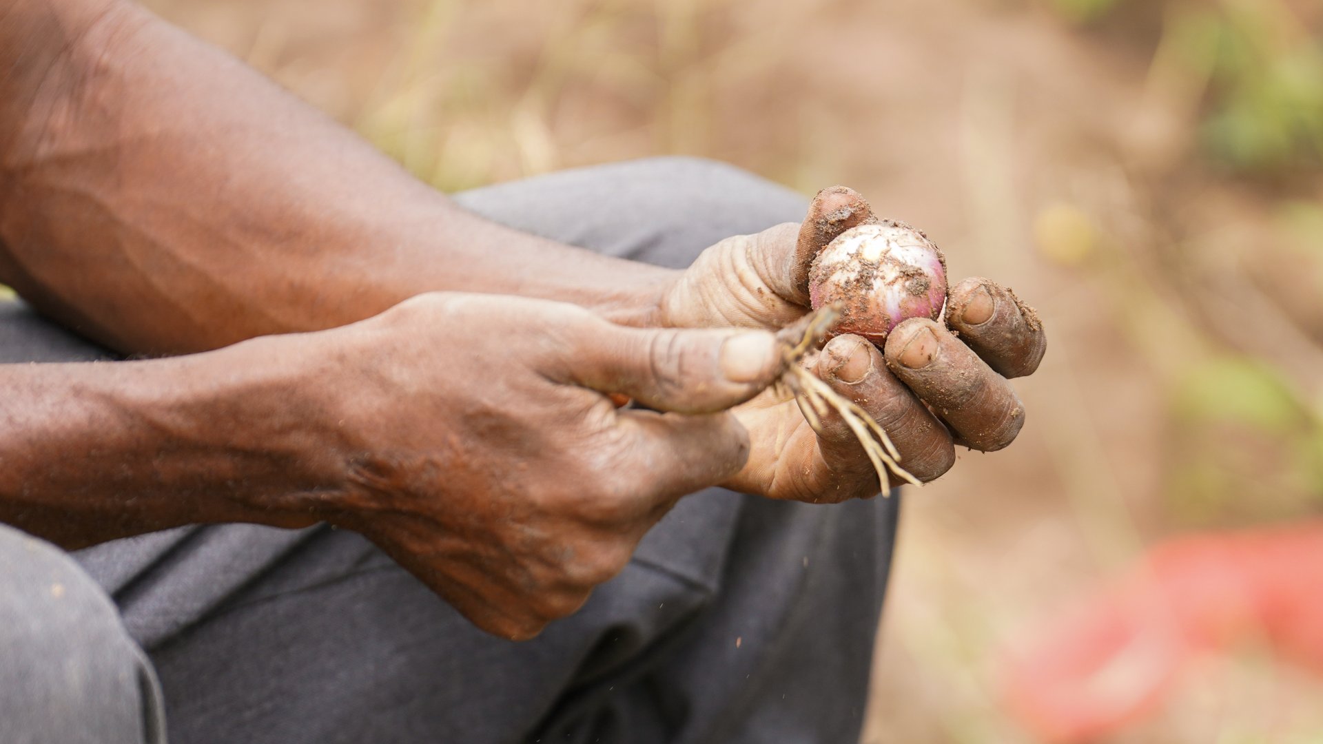 East Africa Foods disclosure