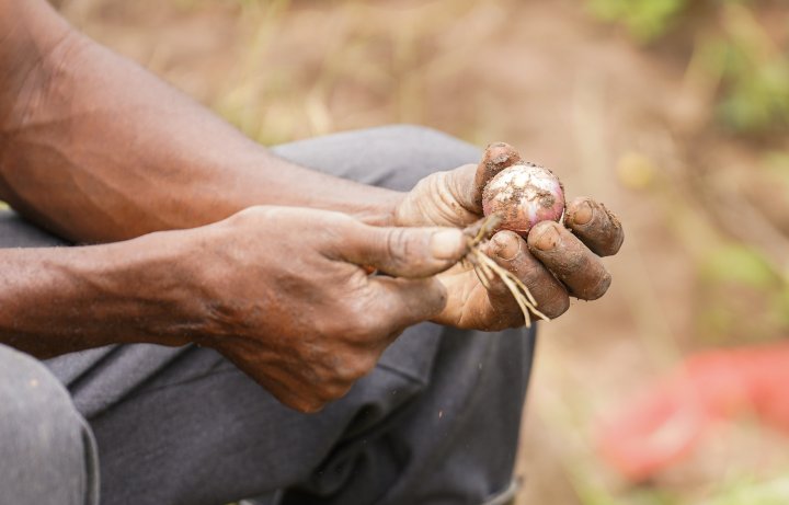 East Africa Foods disclosure